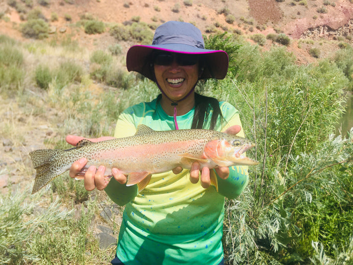 Owyhee River Rainbow Trout